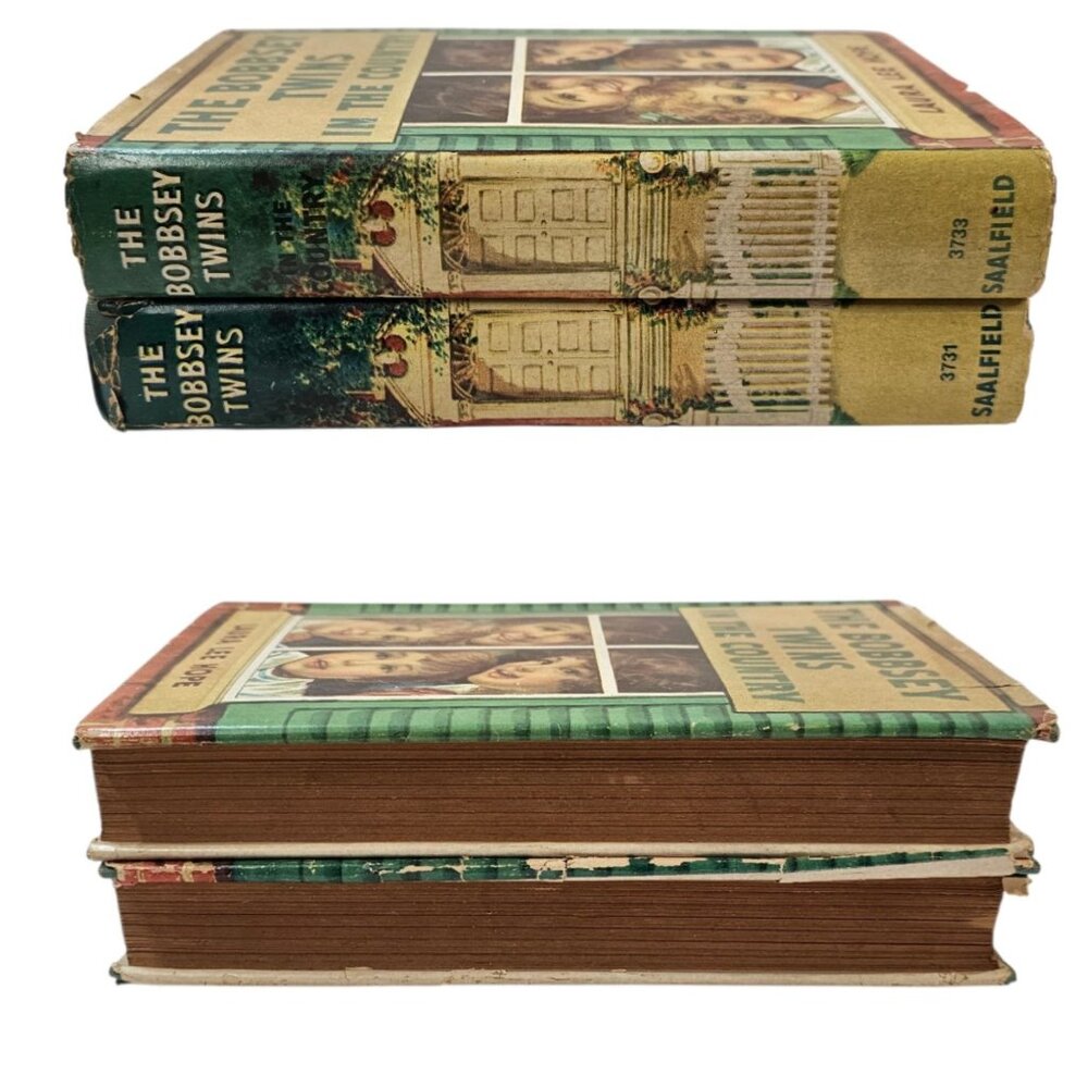 The Bobbsey Twins Laura Lee Hope In The Country 1940 Saalfield Publishing HC Lot - Picture 3 of 14